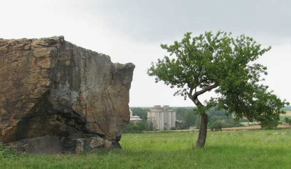 Lechův kámen a strom, foto Šárka Buriánková
