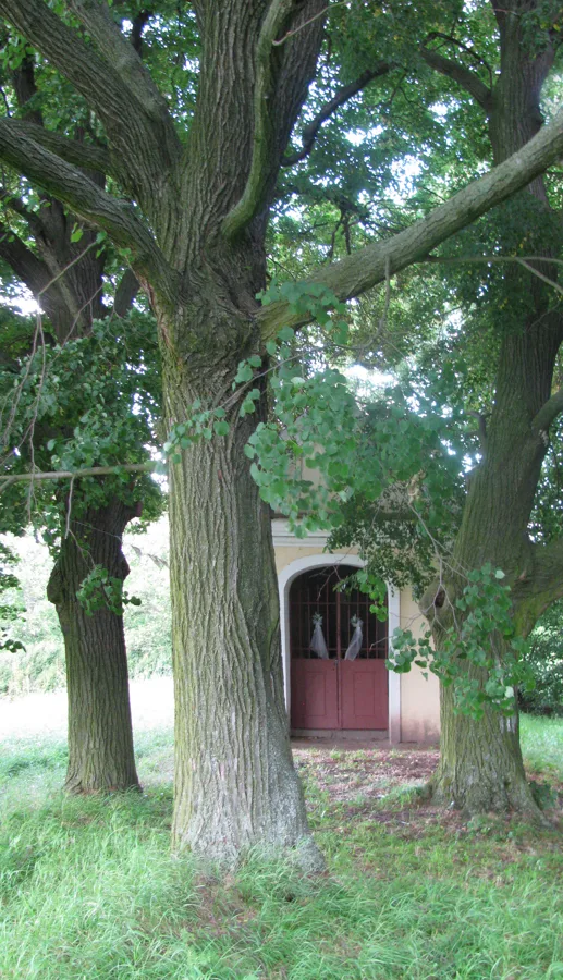 Stará Kouřim, Kaplička sv. Víta, foto Šárka Buriánková